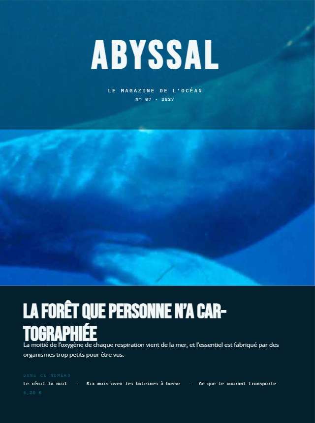 Magazine Vie marine — 148×198mm · 8 p.